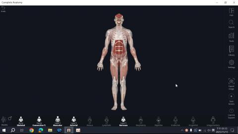 1113 Post Thigh, Popliteal & Leg Preview.mp4