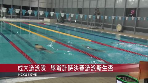 【影音】成大游泳隊  舉辦計時游泳新生盃決賽	