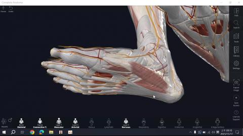 1117 Foot Preview.mp4