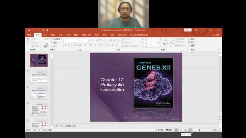 Prokaryotic Transcription