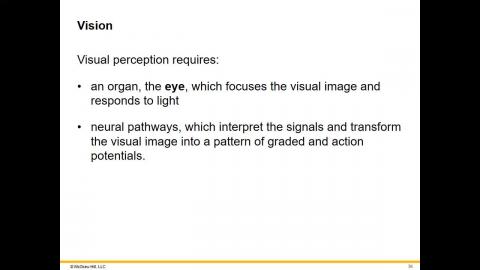 12-06-2023 Vision.mp4