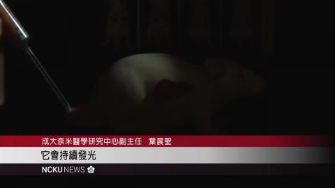 【影音】成大葉晨聖教授「奈米夜明珠」　長效發光腫瘤無所遁形