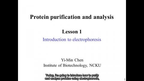 蛋白質: Introduction to electrophoresis 英文字幕版 241111