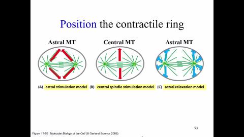 2024-02-29 Lecture-3.mp4
