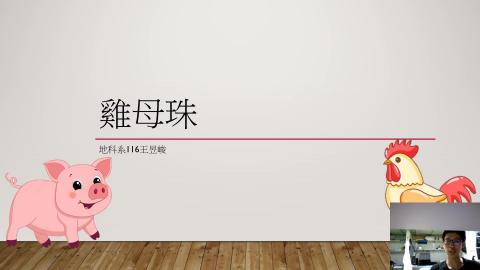 (61383)1122TIDL生活中的毒物(課調老師:張雅雯教授)_地科系王昱峻_113.4.29_雞母珠的毒性