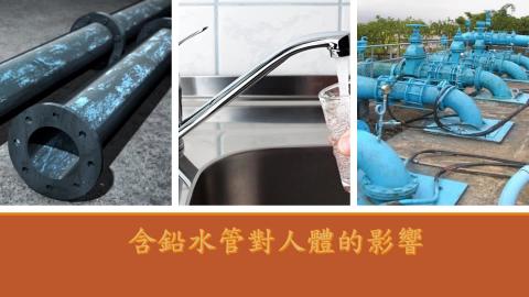 (61387)1122TIDL生活中的毒物(課調老師:張雅雯教授)_台文系李冠毅_113.4.29_含鉛水管對人體的影響