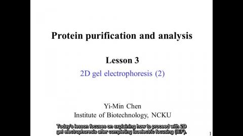 蛋白質: 2D (2) 英文字幕版 250212