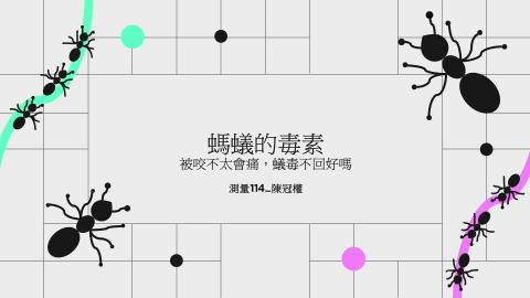 (61578)1122TIDL(課調老師:張雅雯教授)_測量系陳冠權_113.5.13_螞蟻的毒素