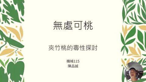 (61579)1122TIDL(課調老師:張雅雯教授)_機械系陳品誠_113.5.13_夾竹桃的毒性