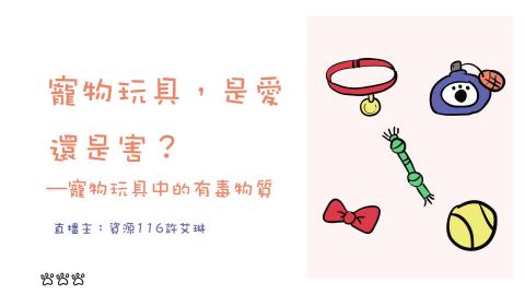 (61581)1122TIDL(課調老師:張雅雯教授)_資源系許艾琳_113.5.13_寵物玩具裡的毒物