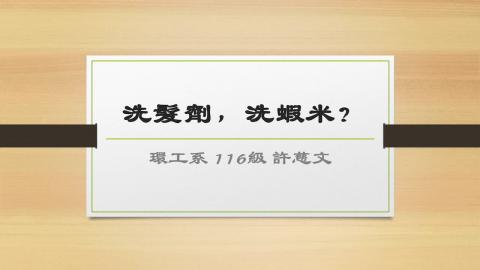 (61583)1122TIDL(課調老師:張雅雯教授)_環工系許慈文_113.5.13_洗髮精成分對身體的影響