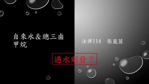 (61587)1122TIDL(課調老師:張雅雯教授)_法律系張嵐茵_113.5.13_自來水與三鹵甲烷