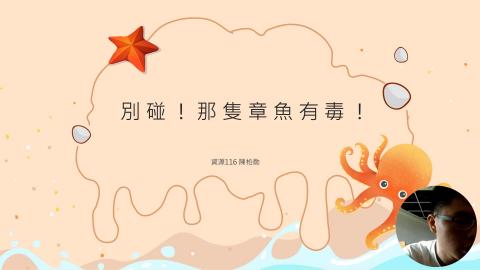 (61594)1122TIDL(課調老師:張雅雯教授)_資源系陳柏勛_113.5.20_有毒的章魚種類以及其毒性