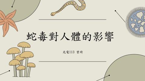 (61595)1122TIDL(課調老師:張雅雯教授)_光電系曾　琦_113.5.20_蛇毒對人體的影響