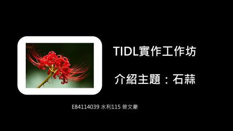 (61596)1122TIDL(課調老師:張雅雯教授)_水利系曾文豪_113.5.20_石蒜的毒素對人體的影響