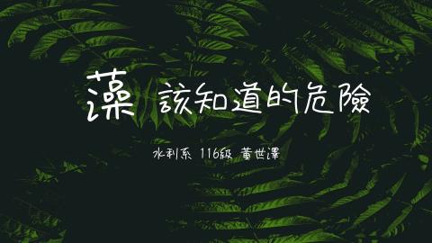 (61606)1122TIDL(課調老師:張雅雯教授)_水利系黃世澤_113.5.20_浮游藻類與淨水處理中毒素對人體危害