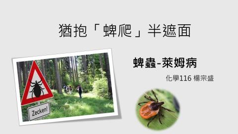(61610)1122TIDL(課調老師:張雅雯教授)_化學系楊宗盛_113.5.27_蜱蟲—萊姆病