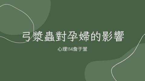 (61611)1122TIDL(課調老師:張雅雯教授)_心理系詹于萱_113.5.27_弓形蟲對孕婦的影響