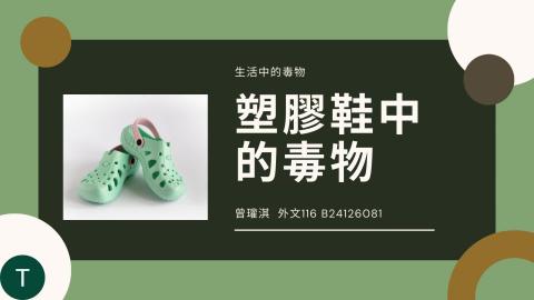 (61612)1122TIDL(課調老師:張雅雯教授)_外文系曾瓘淇_113.5.27_塑膠鞋中的毒物