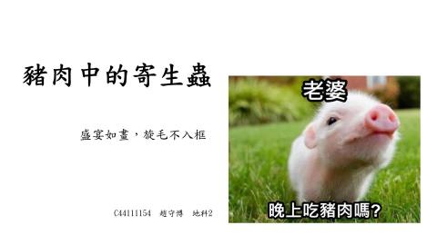 (61618)1122TIDL(課調老師:張雅雯教授)_地科系趙守博_113.5.27_豬肉中的寄生蟲