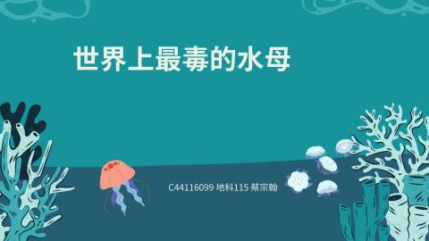 (61625)1122TIDL(課調老師:張雅雯教授)_地科系蔡宗翰_113.6.3_最毒的水母