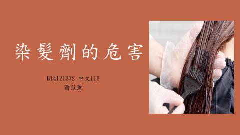 (61627)1122TIDL(課調老師:張雅雯教授)_中文系蕭苡薰_113.6.3_染髮劑的危害