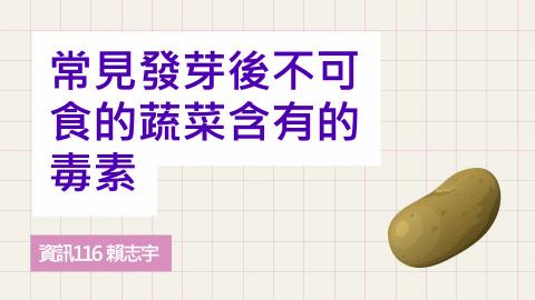 (61631)1122TIDL(課調老師:張雅雯教授)_資訊系賴志宇_113.6.3_常見發芽後不可食的蔬菜含有的毒素