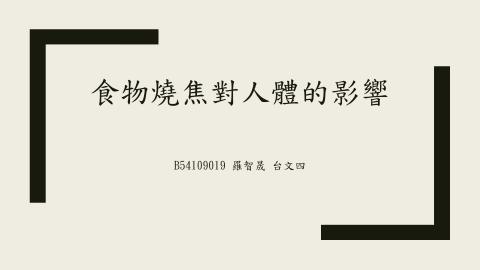 (61633)1122TIDL(課調老師:張雅雯教授)_台文系羅智晟_113.6.3_食物燒焦對人體的影響