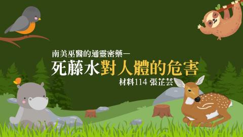 (61638)1122TIDL(課調老師:張雅雯教授)_材料系張芷芸_113.6.3_死藤水對人體的危害