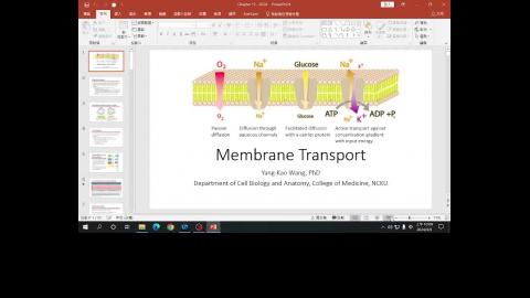 0308 Cell Bio.mp4