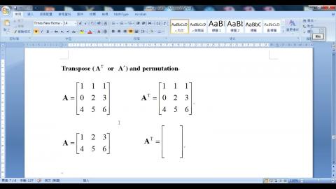 LA W4L2 Transpose.wmv