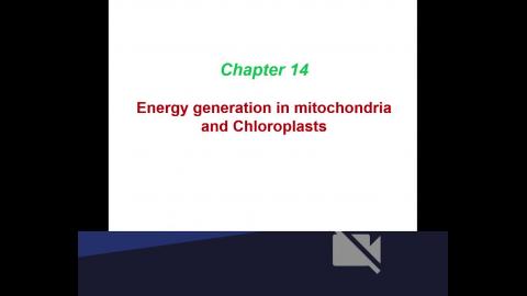 2024-03-15 Cell Bio.mp4