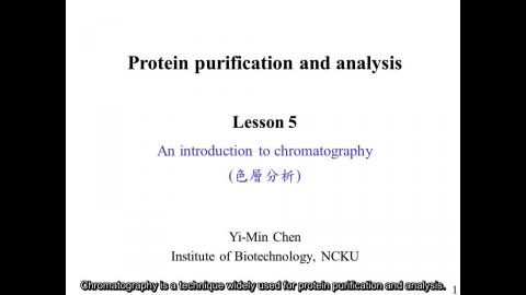 蛋白質: Introduction to chromatography 英文字幕版 250219