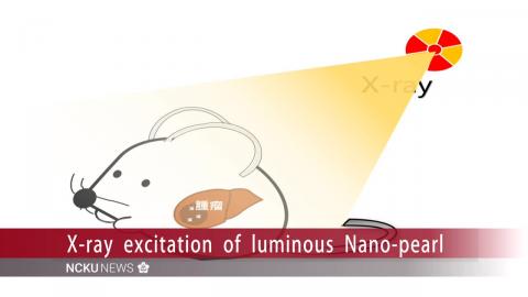 【Video】Luminous Nano-pearl”: Medical breakthrough to accurately detect tumors