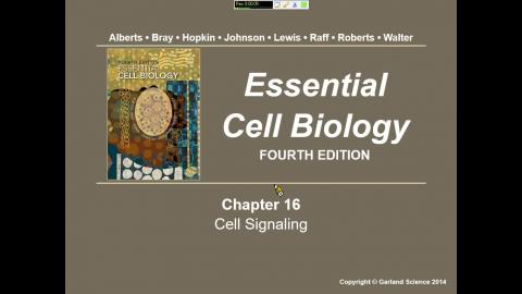 Cell Bio-Cell signaling (I) 中文授課 1110325.mp4