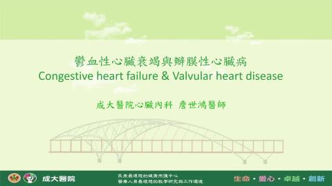 240410-CVPP詹世鴻.mp4