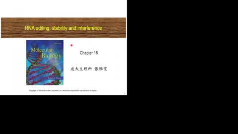 2024-04-10 10-08-39_分生.mp4