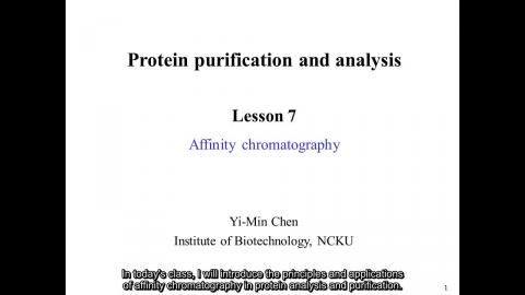 蛋白質: Affinity chromatography - 英文字幕版 250317