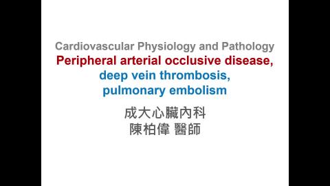 240417-CVPP-1陳柏偉.mp4