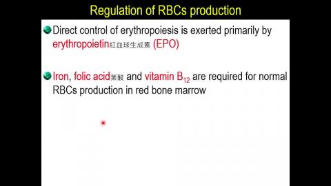 1122護理系生理學_張雅雯教授授課_1130422_Blood and hemostasis 