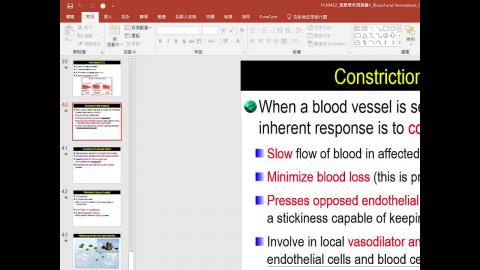 1122護理系生理學_張雅雯教授授課_1130426_Blood and hemostasis; Heart 