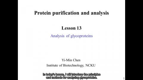 蛋白質: Glycoprotein - 英文字幕版 250416