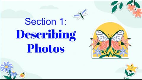 Section 1: Descriptions of Pictures