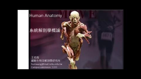 2024-07-09 課程導論、皮膚系統.mp4