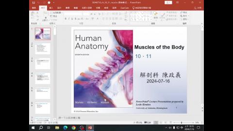 2024-07-16 肌肉系統.mp4