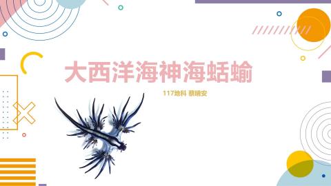 (63969)D1131125-1_1131TIDL生活中的毒物(課調老師:生理所張雅雯教授)_地科系蔡晴安_113.11.25_大西洋海神海蛞蝓