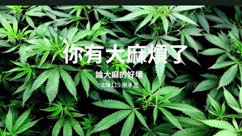 (63978)D1131125-10_1131TIDL生活中的毒物(課調老師:生理所張雅雯教授)_法律系謝承恩_113.11.25_大麻的好壞