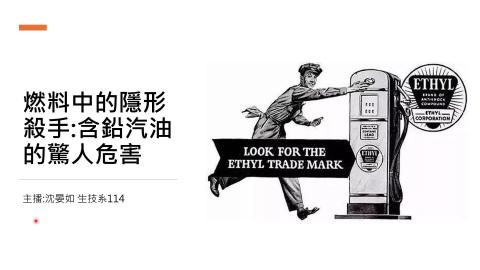 (63984)D1131125-15_1131TIDL生活中的毒物(課調老師:生理所張雅雯教授)_生技系沈晏如_113.11.25_含鉛汽油對於環境的危害
