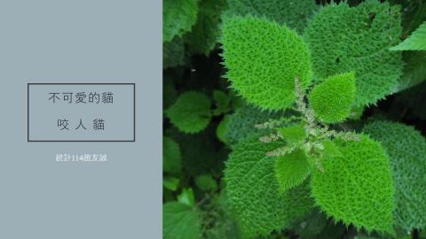 (63985)D1131202-1_1131TIDL生活中的毒物(課調老師:生理所張雅雯教授)_統計系趙友誠_113.12.2_咬人貓