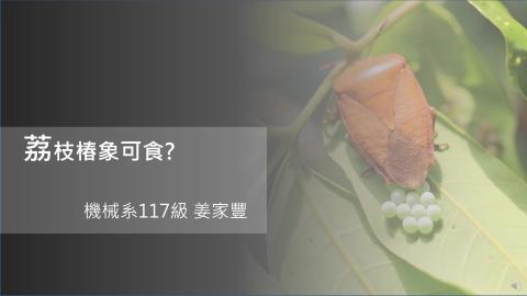 (63987)D1131202-3_1131TIDL生活中的毒物(課調老師:生理所張雅雯教授)_機械系姜家豐_113.12.2_荔枝椿象可食？